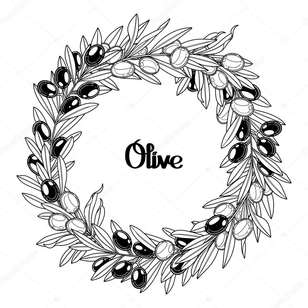 Corona d oliva grafica isolata su priorit  bassa bianca Disegno naturale di vettore Disegno di pagina di libro da colorare per adulti e bambini