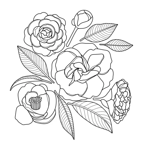 Grafische camellia-verzameling — Stockvector