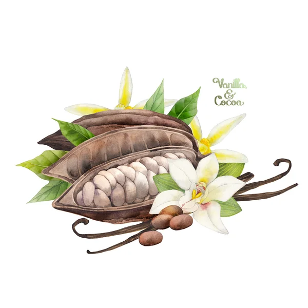 Aquarel cacao fruit en vanille bloemen — Stockfoto
