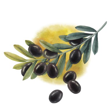 Suluboya Siyah Zeytin dalı