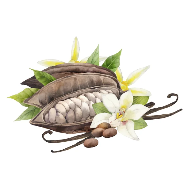 Acuarela de cacao y flores de vainilla — Vector de stock