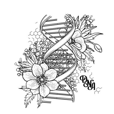 Grafik Dna yapısı