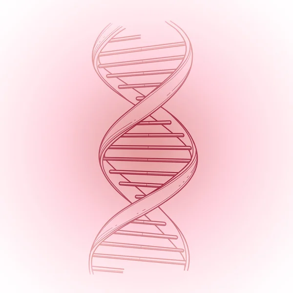 Графическая структура ДНК — стоковый вектор