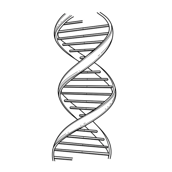 Graficzny struktury Dna — Wektor stockowy