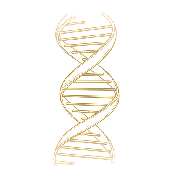 Grafische Dna-structuur — Stockvector