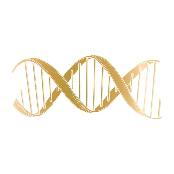 Grafiska Dna-struktur — Stock vektor