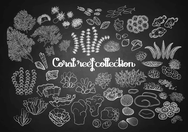 Συλλογή των στοιχείων των κοραλλιογενών υφάλων — Διανυσματικό Αρχείο