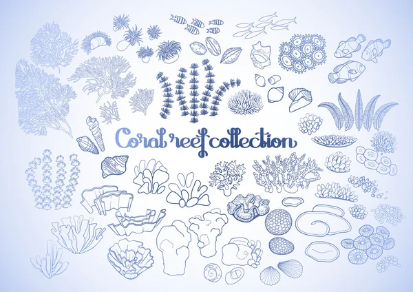 Collectie van coral reef elementen — Stockvector