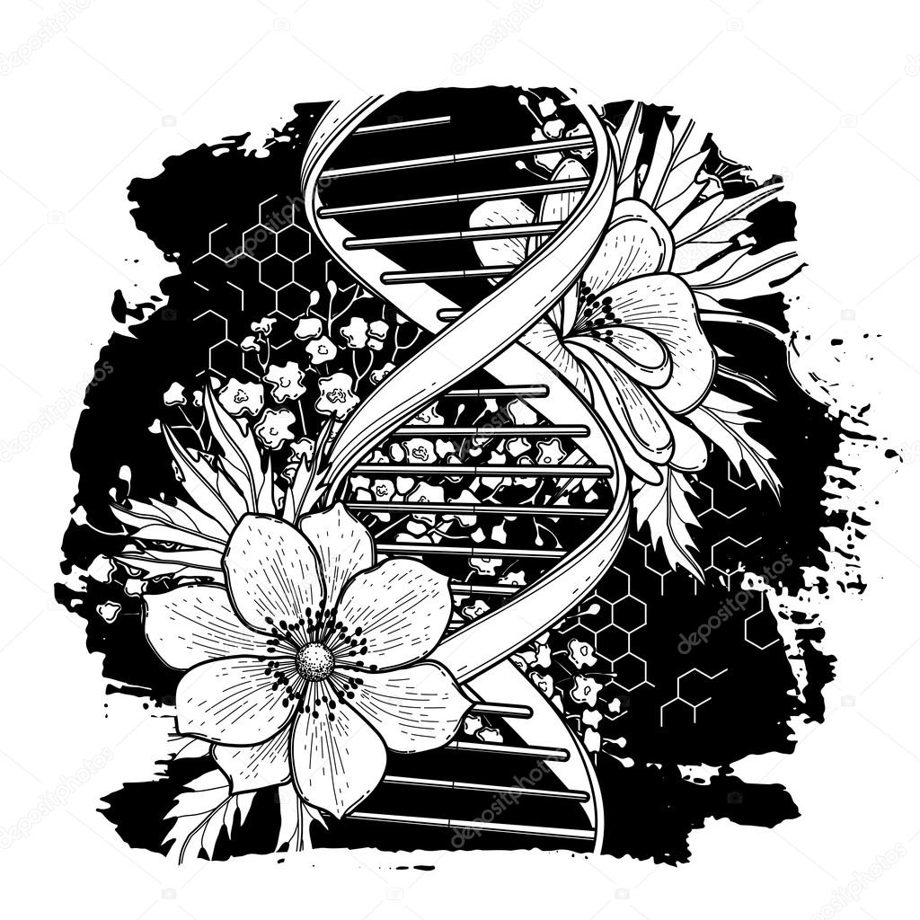 Elementi di vettore per la ricerca scientifica e medica Arte del tatuaggio Pagina del libro da colorare per adulti e bambini