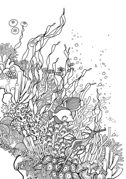 Desenho de recifes de coral —  Vetores de Stock