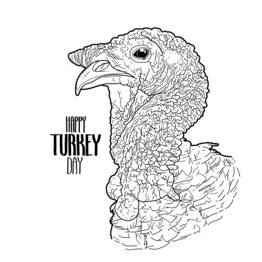 Vector turkey head clipart