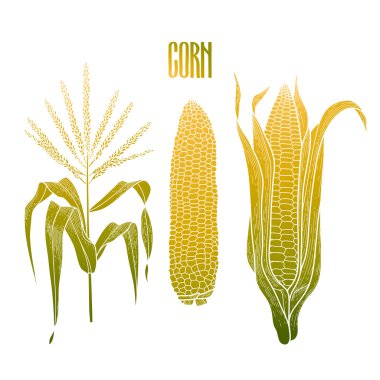 Grafik mısır koleksiyonu