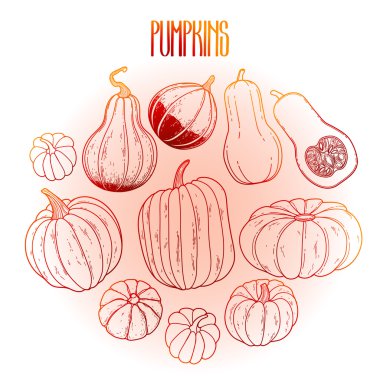 Kabaklar grafik koleksiyonu