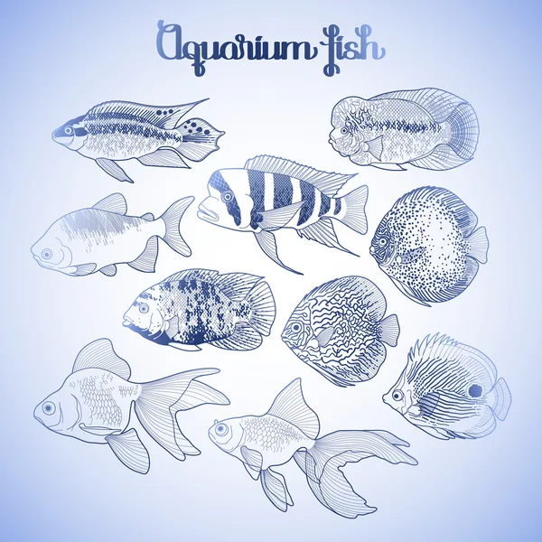 Grafická akvarijní ryba — Stockový vektor