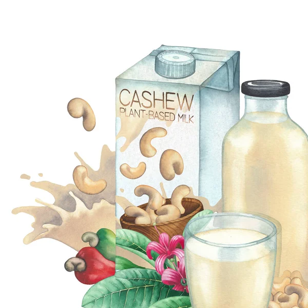 Akvarelová krabička z rostlinného mléka zdobená sklem, lahví, kešu ořechy a rostlinami. — Stock fotografie