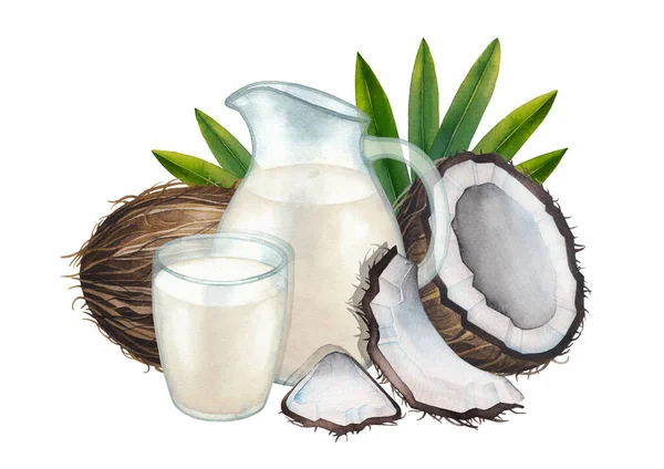 Акварель и кувшин растительного молока в окружении кокосов и листьев. — стоковое фото