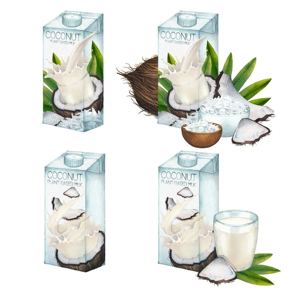 Akvarelová kolekce kokosového mléka na bázi rostlin v kartonech s různým designem balení — Stock fotografie