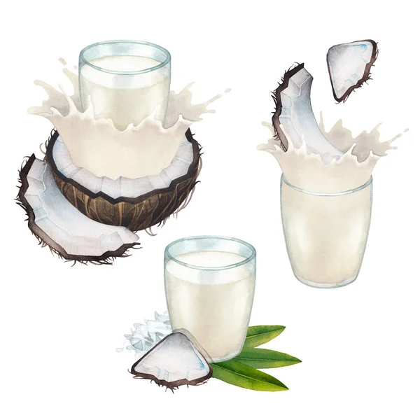 Coleção aquarela de leite à base de plantas nos copos decorados com cocos. — Fotografia de Stock