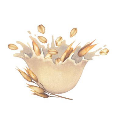 Yulaf bitkileriyle suluboya bitki sütü