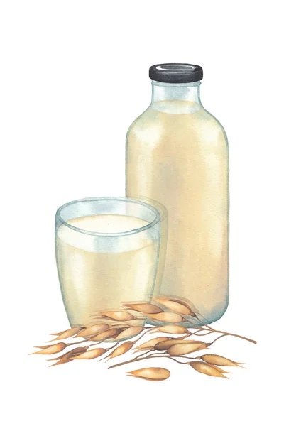Szkło akwarelowe i butelka mleka owsianego roślinnego ozdobione zbożami — Zdjęcie stockowe