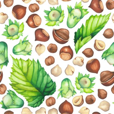 Fındık yapraklarının ve fındıkların dikişsiz deseni suluboya.
