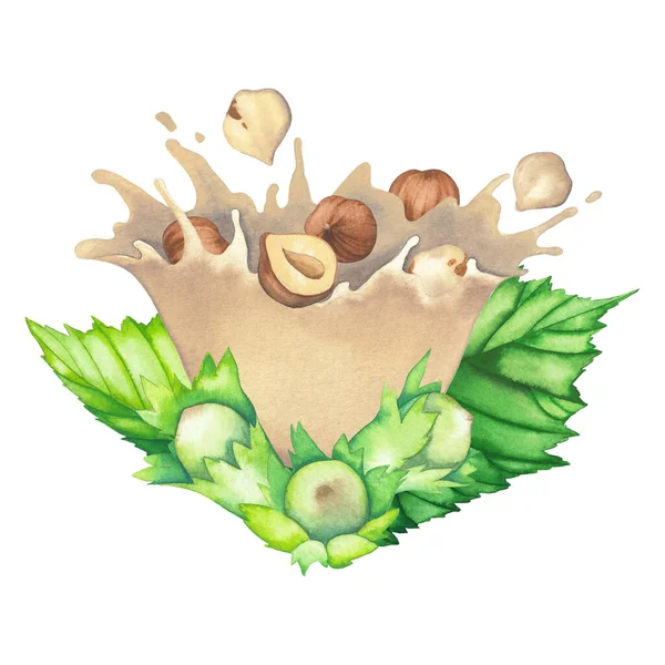 Aquarell-Spritzer pflanzlicher Milch mit Haselnussblättern und Nüssen — Stockfoto