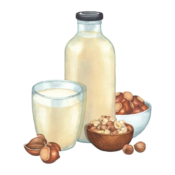 Vidrio de acuarela y botella de la leche a base de plantas rodeada de tazones de avellanas y nueces. —  Fotos de Stock