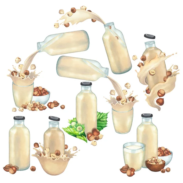 Akvarelová kolekce rostlinného mléka ve skleněných lahvích a pohárech zdobených lískovými ořechy. — Stock fotografie