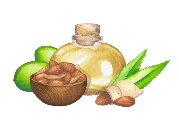 Акварель стеклянная бутылка эфирного масла украшена миндальными орехами, листьями и фруктами. — стоковое фото