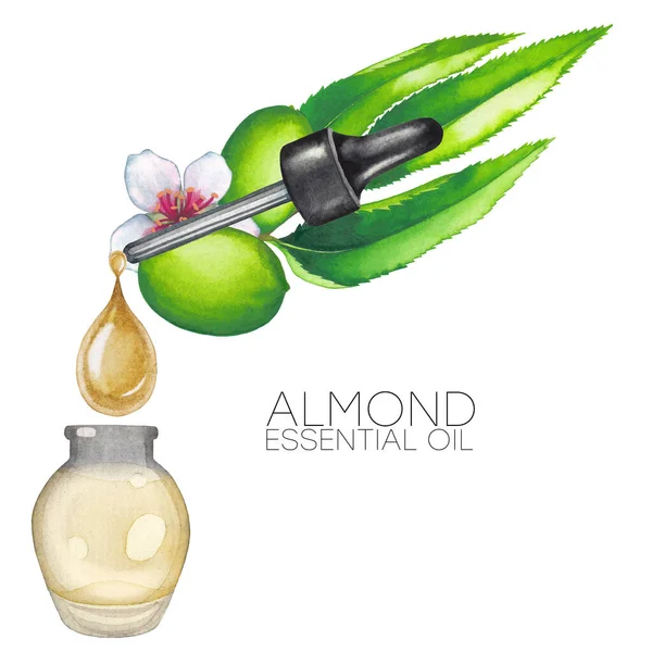 Watercolor drop of essential oil falling from dropper into the glass bottle decorated with almond plants. —  Fotos de Stock