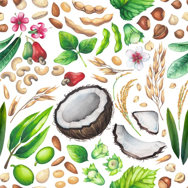 Puttern sem costura aquarela dos cocos, soja, arroz, aveia, avelãs, caju e amêndoas — Fotografia de Stock