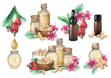 Kaju fıstığı, yaprak, meyve ve çiçeklerle süslenmiş temel yağdan suluboya cam şişeler..