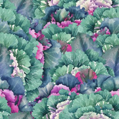 Watercolor pattern of flowering Kale flowers and leaves. clipart