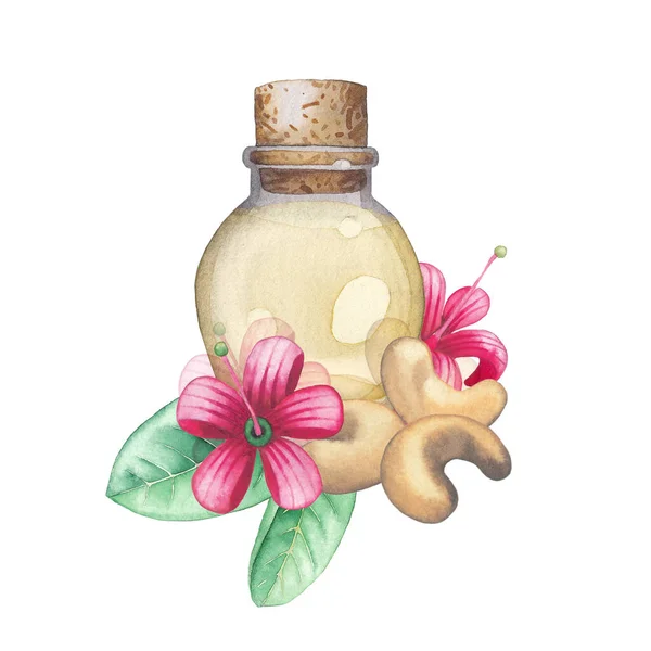 Watercolor glass bottle of the essential oil decorated with cashew nuts, leaves and flowers. — Stock Photo, Image