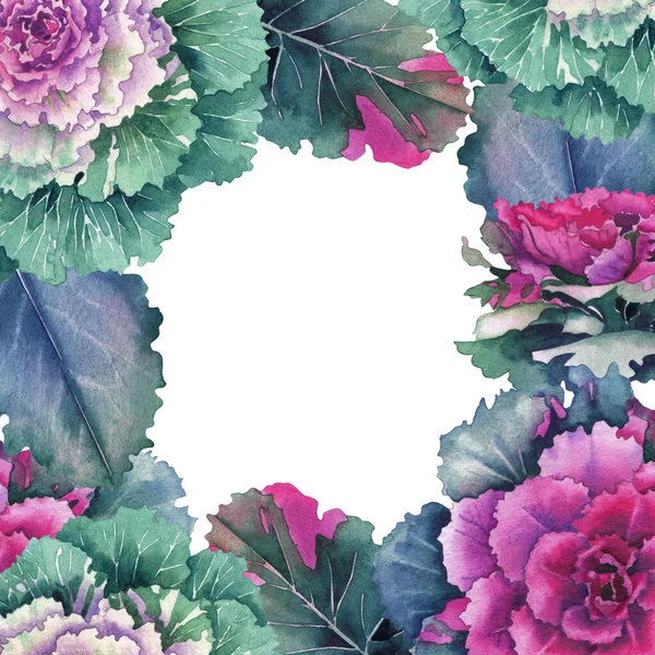Akvarell design virágzó kelkáposzta virágok és levelek. — Stock Fotó