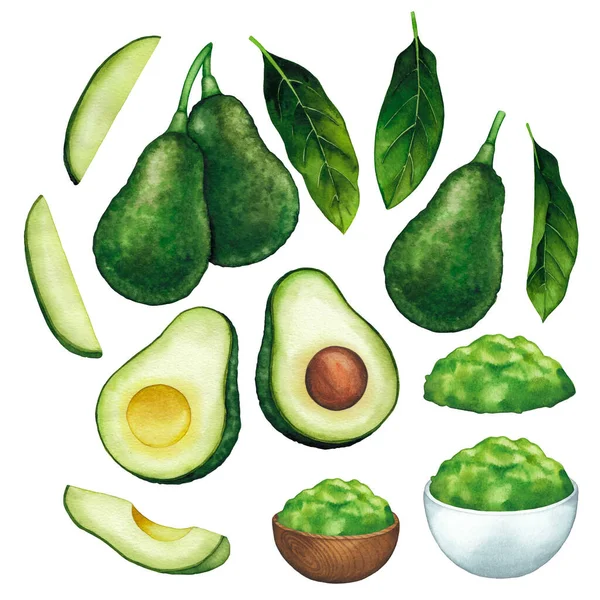 Waterkleur avocado vruchten en bladeren geïsoleerd op witte achtergrond — Stockfoto