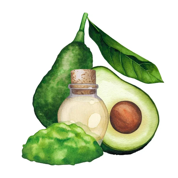Акварельна ефірна пляшка олії, прикрашена фруктами авокадо та листям — стокове фото