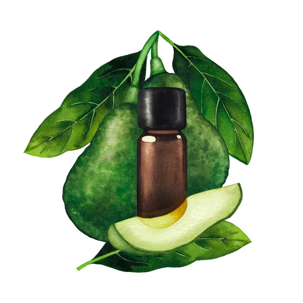 Watercolor essential oil bottle decorated with avocado fruits and leaves — Stock Photo, Image