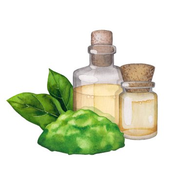 Avokado meyveleri ve yapraklarla süslenmiş suluboya yağ şişesi