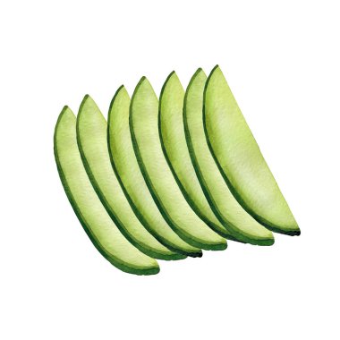 Beyaz arkaplanda suluboya avokado meyveleri ve yaprakları izole