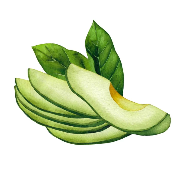 Aquarell-Avocadofrüchte und Blätter isoliert auf weißem Hintergrund — Stockfoto