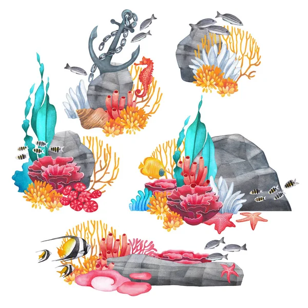 Watercolor coral reefs with various plants and ocean creatures.
