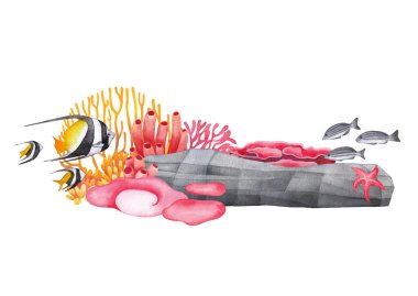 Beyaz arkaplanda izole edilmiş suluboya mercan resifi