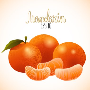 Vektör olgun mandarin