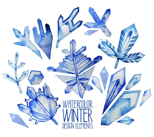 Aquarell Fntasy Winterblumen — Stockfoto