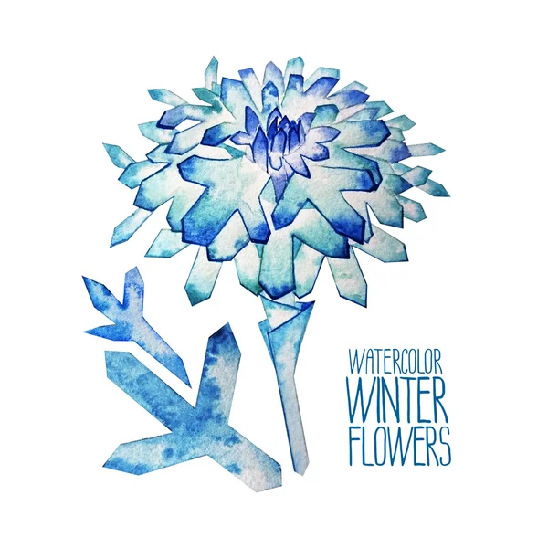 Watercolor  fntasy winter flowers — Stock Photo, Image