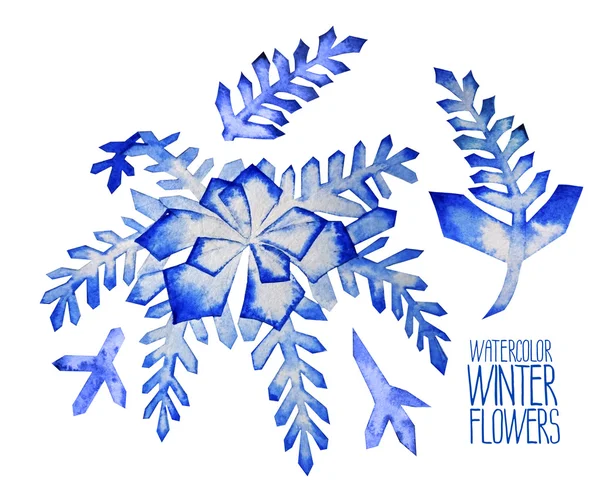 Akvarell fntasy vinter blommor — Stockfoto