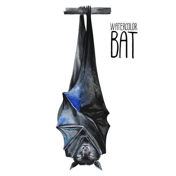 Watercolor sleeping bat — Stock Vector
