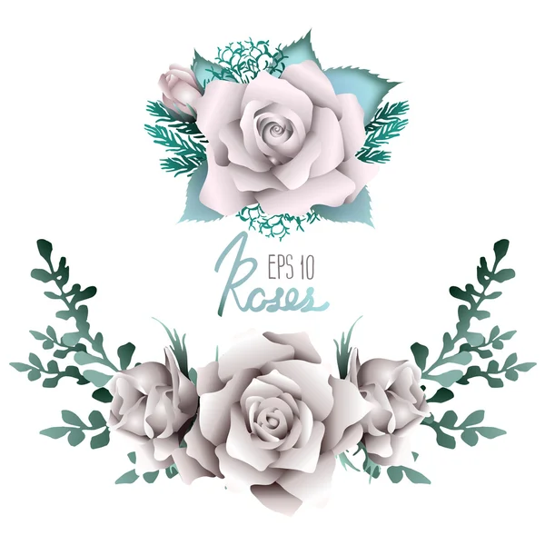 Collection vignette roses blanches — Image vectorielle