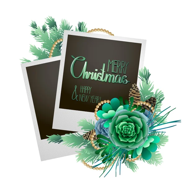 Carte de Noël avec sapin et plantes succulentes — Image vectorielle